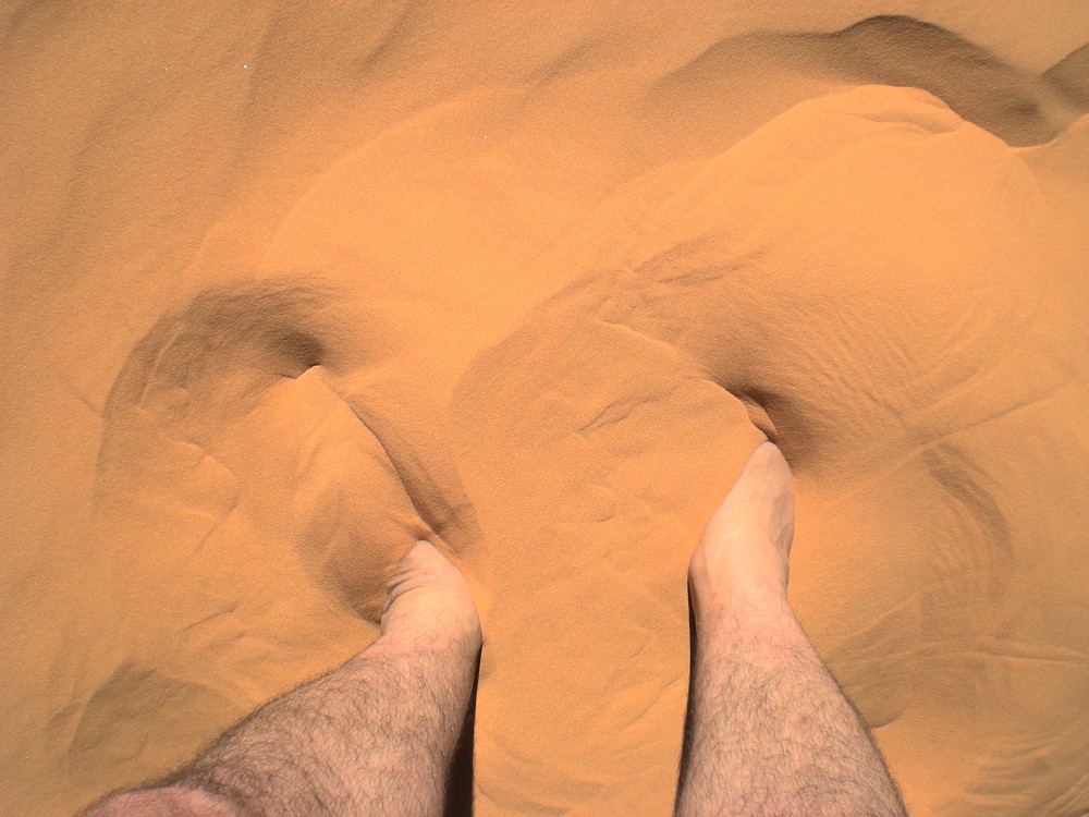 Coral pink sand dunes, Zion, USA 2010